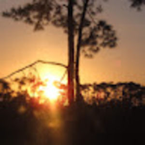 Meet your Posher, May